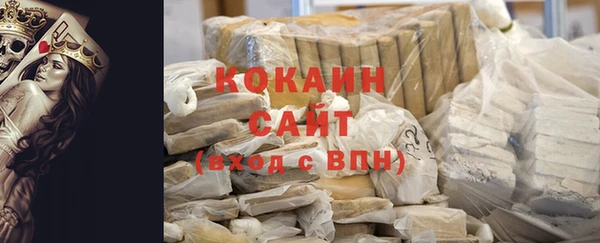 ПСИЛОЦИБИНОВЫЕ ГРИБЫ Горняк