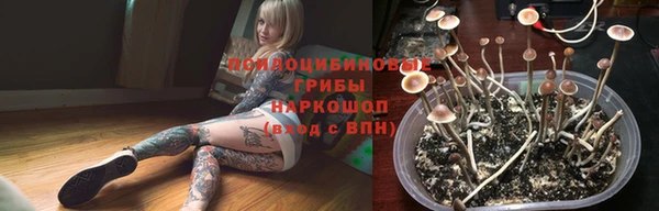ПСИЛОЦИБИНОВЫЕ ГРИБЫ Горняк