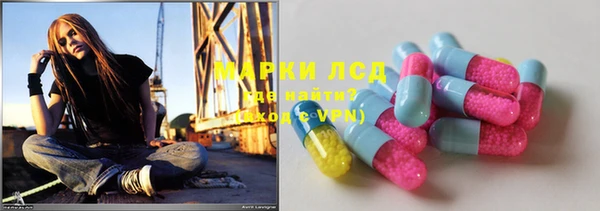 ПСИЛОЦИБИНОВЫЕ ГРИБЫ Горняк