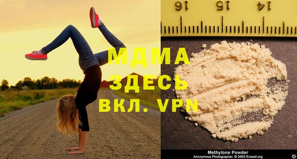 ПСИЛОЦИБИНОВЫЕ ГРИБЫ Горняк