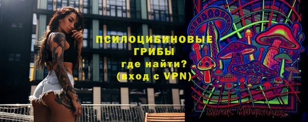 спайс Горнозаводск